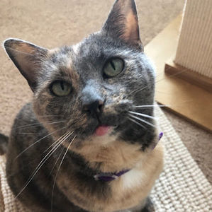 Meet your Posher, Caroline